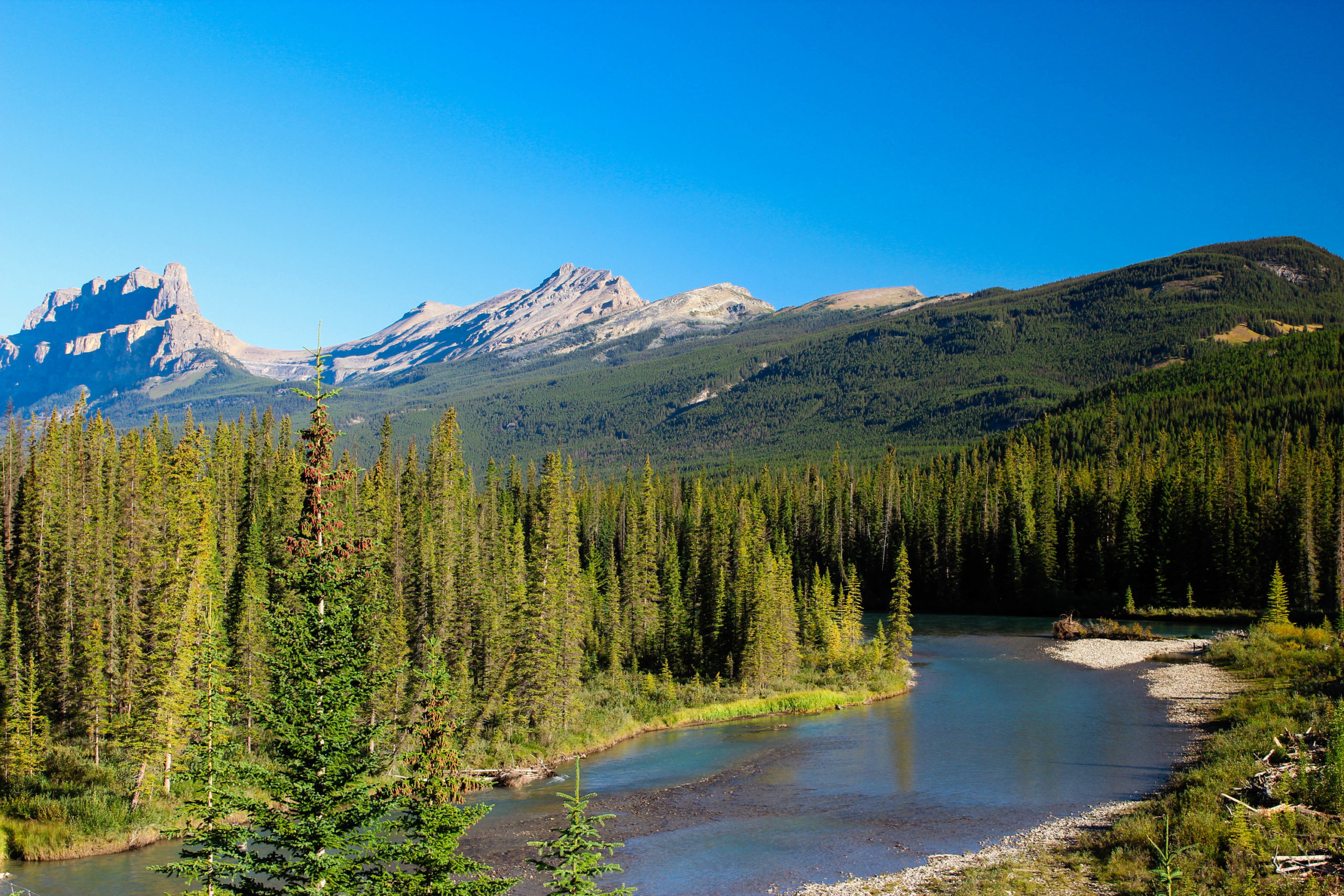 canstockphoto25428187